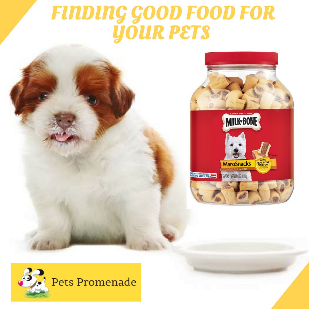 pets_promenade's tweet photo. If you really LOVE your #dog finding Good Food for them is your biggest
 #responsibility!

 find #nutritious foods for every type of #dog pet. 

#Buy #pet food, #products &amp; #accessories from https://t.co/3l6gfMyNIh 
 at affordable prices https://t.co/9Ehv5YYBiq