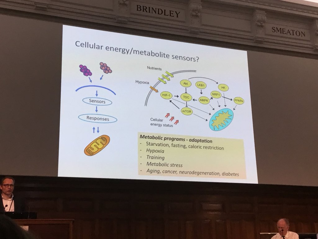 MEAdvocatesIre's tweet photo. More slides from Prof Tronstad  #IIMEC13 https://t.co/3QRhCkD4ys