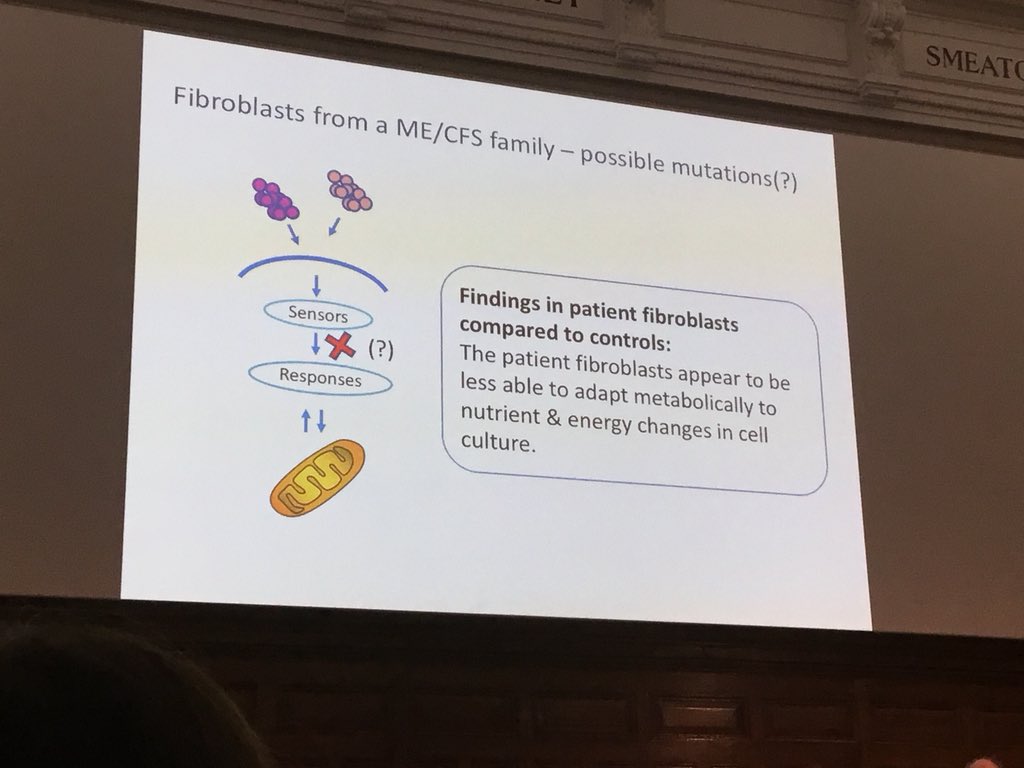 MEAdvocatesIre's tweet photo. More slides from Prof Tronstad  #IIMEC13 https://t.co/3QRhCkD4ys