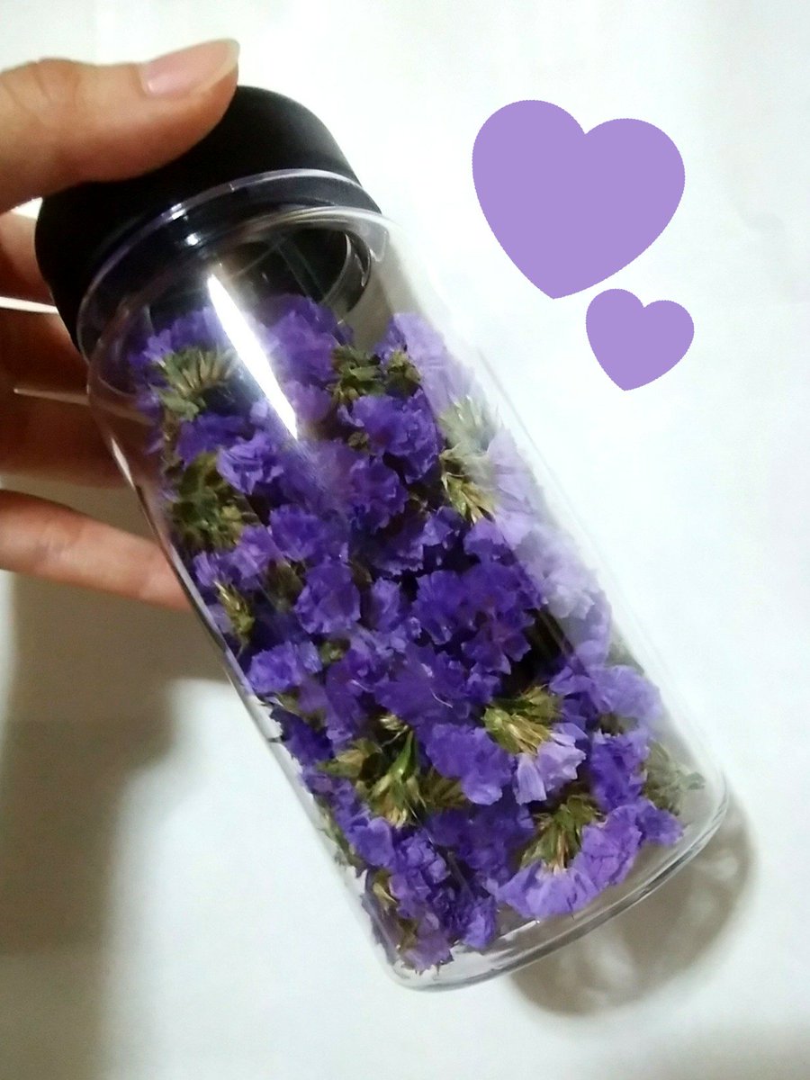 ゆらくん スターチスのドライフラワーがしこたま出来たので100均のドリンクボトルに詰めた物がこちらになります とても紫