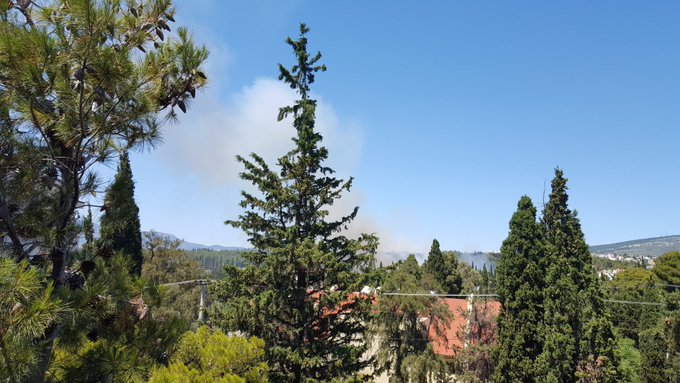 View image on Twitter