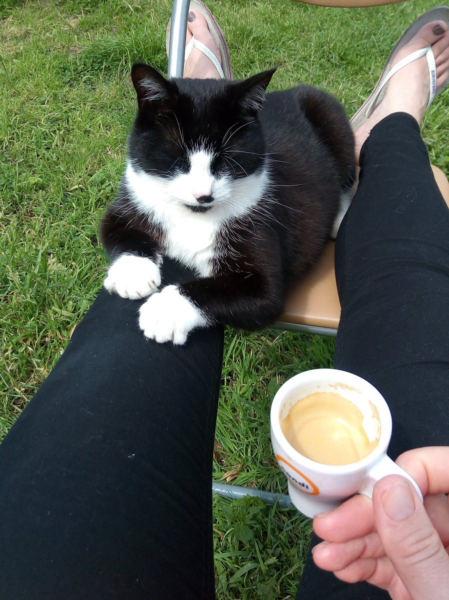 Ourtravelfamily's tweet photo. Starting the weekend off just right โ๐ฑโค๏ธ
#Ourtravellingfamily #vanlifegirls #vanlifecat #vanlife #caravan #caravanliving #caravanlife #nomads #nomadstories #whereyouparkitishome #traveldiaries #traveldiary #globetrotters #travelwithteens #travelwithkids https://t.co/HiPzXRsF6e