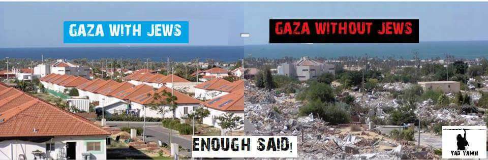 GedaliahBlum's tweet photo. When the Jewish people are in the land of #Israel, the land is blessed... Need anymore proof?
And I know, I was in Gaza the days after. The air stank, the flies numerous, garbage, rubble and dried tears.
Thanks for sharing @haivri https://t.co/JqrPt9ao21