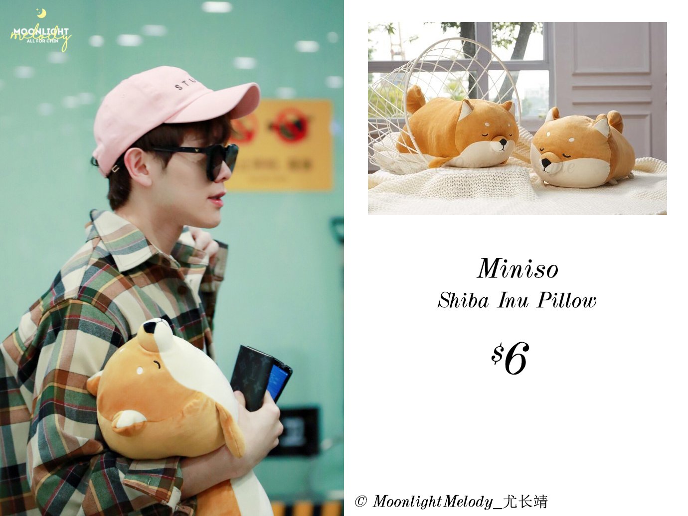 miniso shiba inu