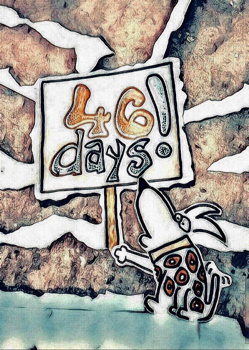 phishdog1's tweet photo. 46 DAYS!! 'Til SUMMER!! & Fall tour on sale today!!
Sooooooo excited!!
AAaahhoooooo!!
#phish #phish2018 #phishsummertour #treyanastasio #mikegordon #phishdoggie #phish46days #phishsummer2018 https://t.co/z0JjCOl7uN