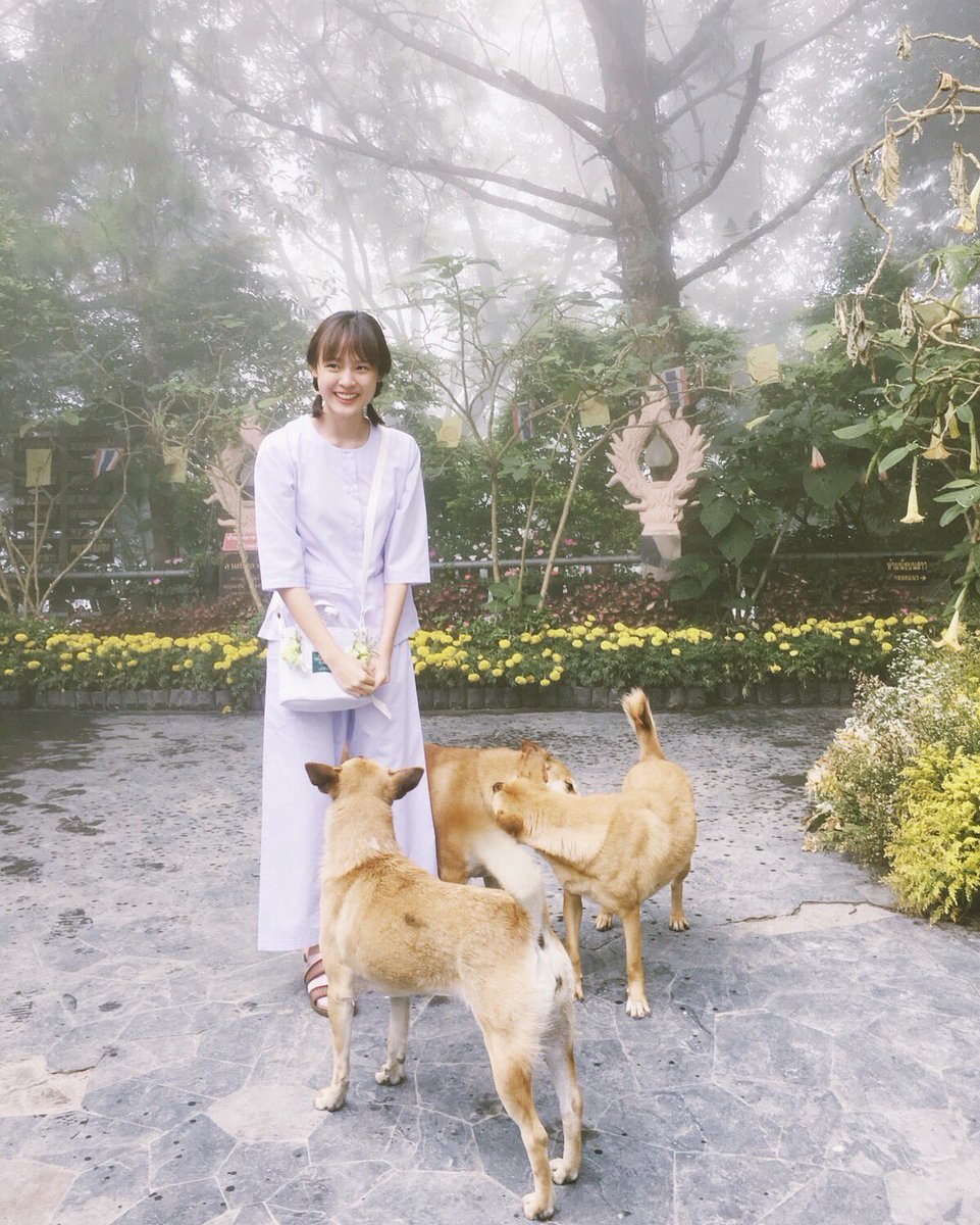 PattieUng's tweet photo. อากาศดีมีเพื่อนเยอะ🐶🐶🐶 https://t.co/O3QKXdCbqb
