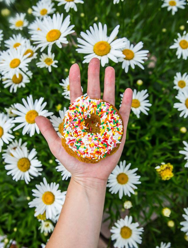 Make time for the important things, like celebrating #NationalDonutDay! Do Rite Donuts &amp; Chicken is only a 6 minute bike ride from #SpokeApts. | bit.ly/2uvjhjG