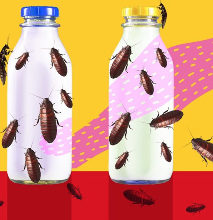 BBC Three on Twitter: