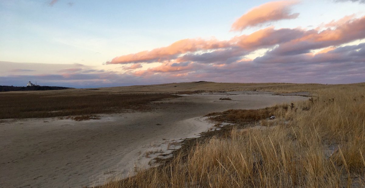 BestonsCapeCod's tweet image. “The beauty and mystery of this earth and outer sea so possessed and held me that I could not go."
-- "The Outermost House," Henry Beston (born on this day, 1888)