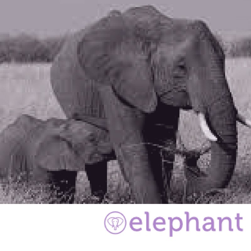 ElephantAnnette's tweet photo. Health tips for your younger self with contributions from our team, @SmoothiePR @PlaceofTranquil @LaurenChiren @LynnAnderton @CorinneWorsley @PEPandLEKKER #health #wellness #halftermtips https://t.co/OwXfriS2ch https://t.co/naEn5Gd0Jb