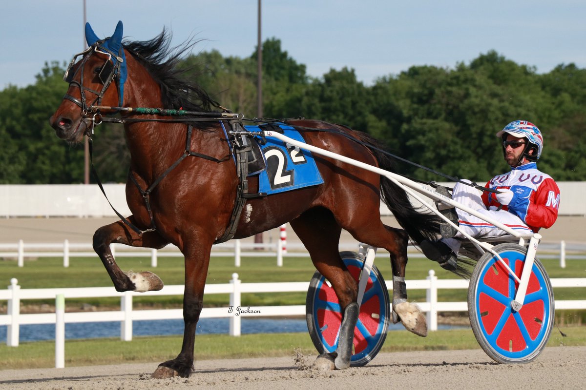 hoosiernations's tweet photo. GoodMorning @Chris_wponies @JoannKi32885615 @rebelsart @vnssa926 @jtlburn @kimberlymoier @breannanalley @dolenski_john @KathleenBaitzel @SadandSulk @HoP_Racing #QueensOnFire #LewayneMiller #PlayHP https://t.co/qJaVnIshrU