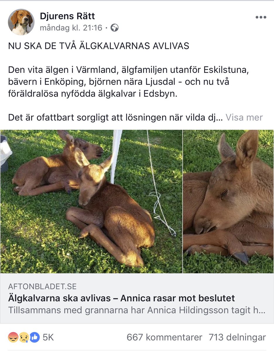ALOANDERSSON tweet media