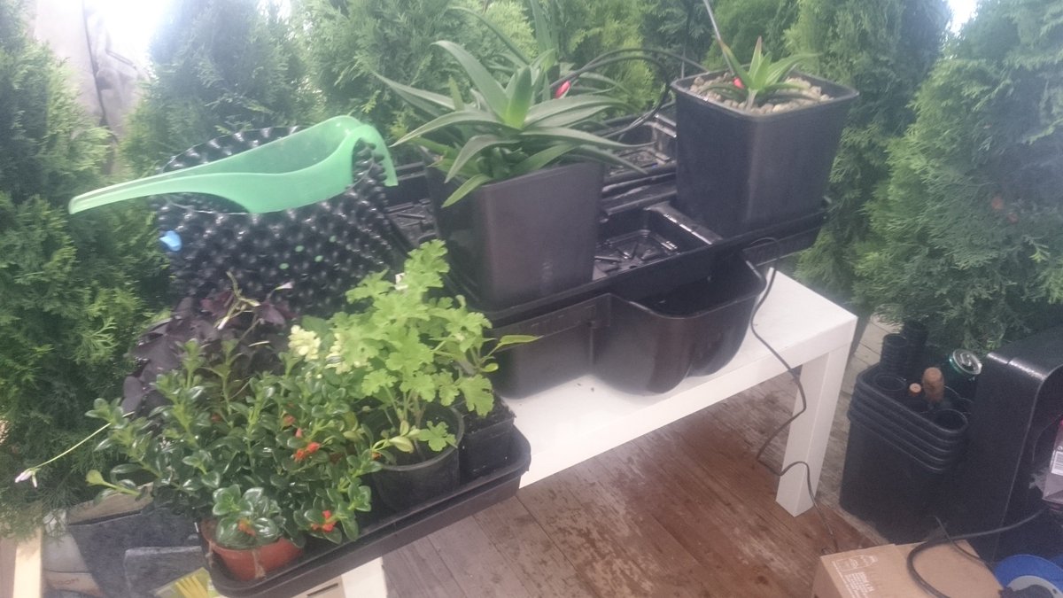 Neobab_SAS's tweet photo. Neobab participe au salon Jardins, Jardin aux Tuileries jusqu'au dimanche 3 juin. 
Venez découvrir sur notre stand nos nouvelles gammes de solutions de cultures autonomes et efficaces pour des plantes comestibles, médicinales et depolluantes exubérantes ! https://t.co/ZHllOyb1nE