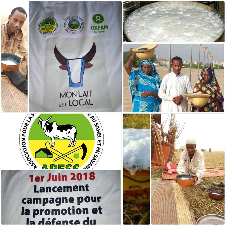 #Tchad : #APESS,  le Ministère de l'élevage et d'autres acteurs de la filière lait  ont lancé la campagne sur la valorisation et défense du lait local <a href="/monlaitestlocal/">Mon lait est local</a>  @ImmAfrica