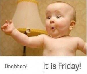 FranklinReids's tweet photo. Happy Friday from Franklin Reids Property https://t.co/ClLOyqmCqt https://t.co/cXpGUSKDXS