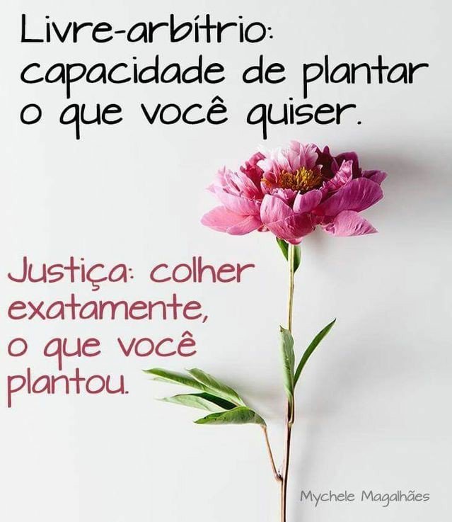 Não adianta vem mesmo.
Depois não adianta chorar, nem ficar se lamentando. 😉