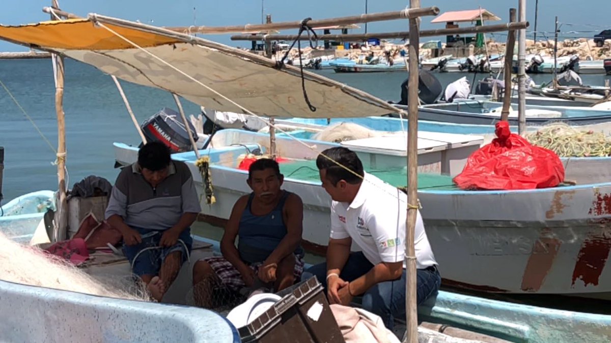 ChrisCastroB's tweet photo. Convivimos con pescadores de Lerma y sus familias, junto a mis amigos candidatos Karla Toledo y Claudio Cetina.

Vamos a trabajar para brindar apoyo permanente para fortalecer este sector y mejorar su calidad de vida.

#PescaConMásPotencia https://t.co/y9N5ALjSR7
