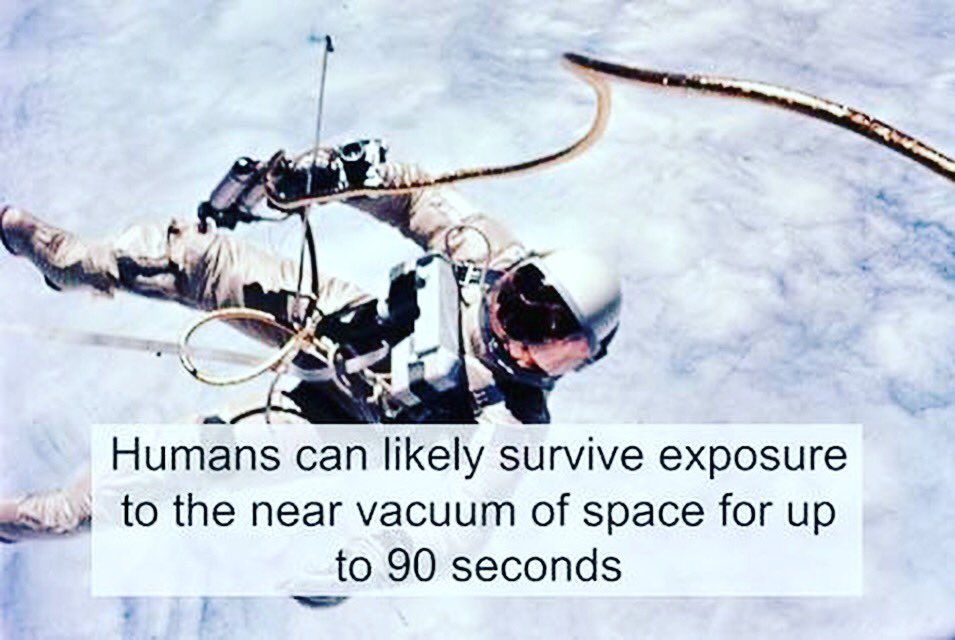 hawk_science's tweet photo. https://t.co/U530ZBgb5q