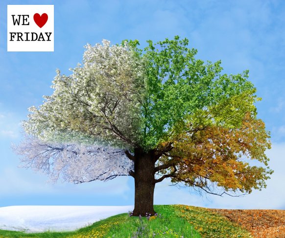 Summer, spring winter, fall - what's your favorite season of all?  #WeLoveFriday #WeLoveFridays #FunFriday #TGIF
