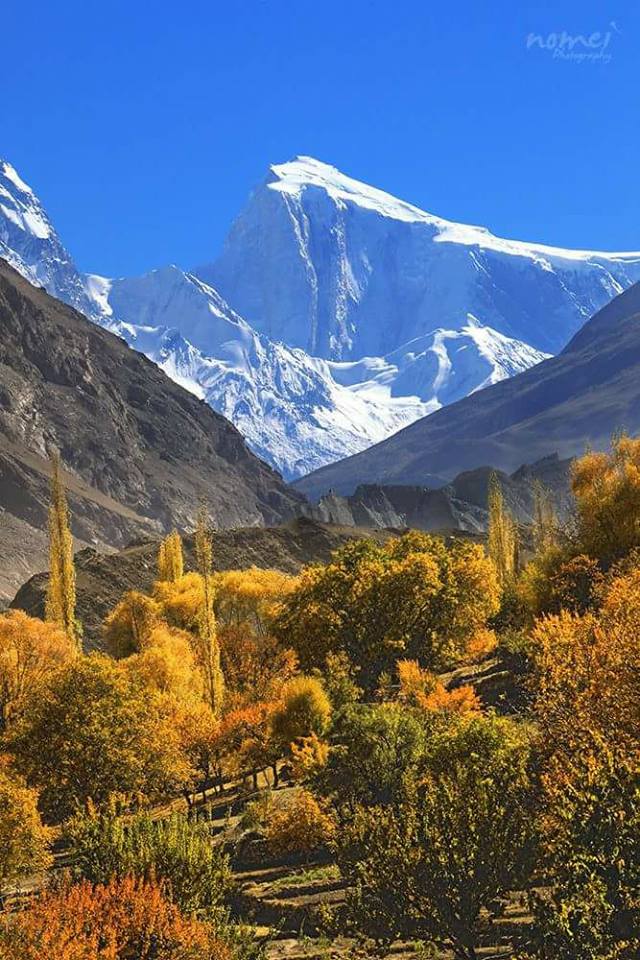 HunzavalleyPk's tweet photo. Golden peak Nagar valley #GilgitBiltastan
#PAKISTAN
#Travel #Traveller #worldtravel #traveltips #ttot #wanderlust #ExplorePak #backpacking #adventuretime #adventuretravel #expedition #SummerCamp #summit2018 #naturelovers #NaturePhotography #trekking #mountains https://t.co/lHF866mHEg