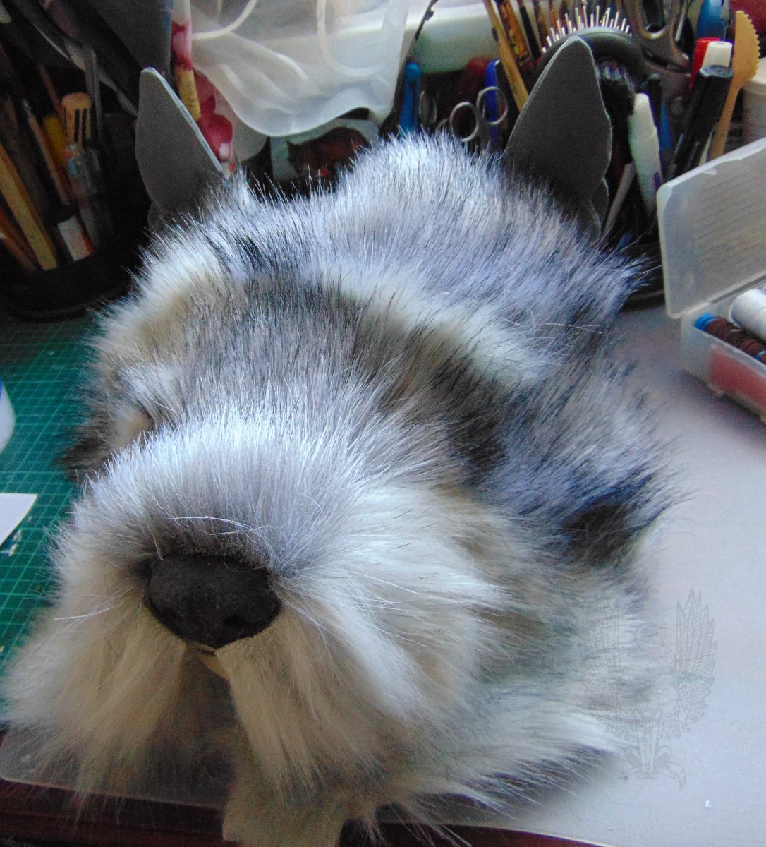 Lobo_The_Wolf's tweet photo. First #FursuitFriday for me and my chance to say Thank you to @Selenovna to bring him to life. She put a lot of work and love in this project. Never saw such an realistic Wolf mask before. Thank you Selena! ♥️ https://t.co/bymNtKJAbs