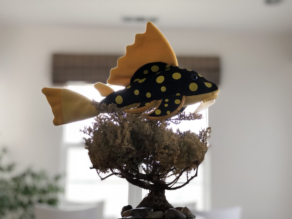 petsmart plecostomus