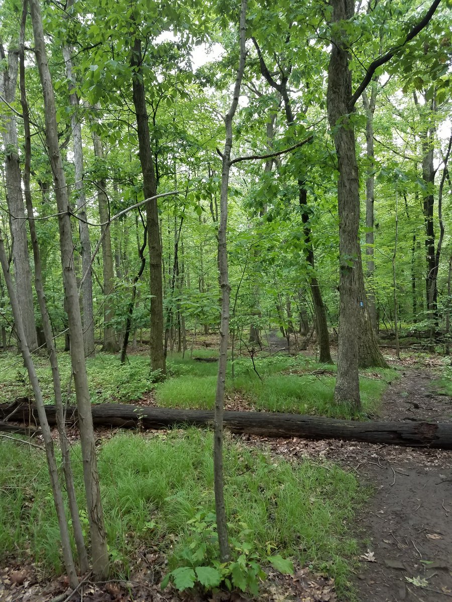 JillGW's tweet photo. Bountiful..beautiful..blissful. #RatherBeHiking #WomynWhoHike https://t.co/csUkkry7Oy