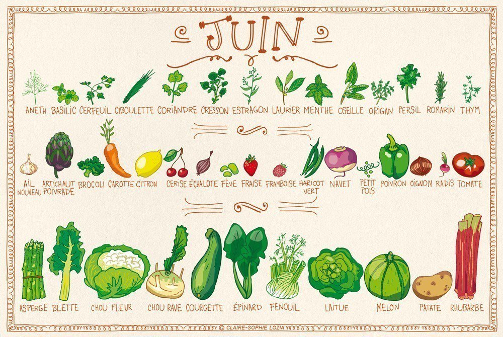 lescreateursbio's tweet photo. Calendrier des fruits et légumes du mois de Juin pour mieux choisir ;)

 #juneday #health #recette #sante #nature #HealthyFood #picoftheday #bio  #bonheur #Fruits #legumes #vegetables #Organic #ecologie #juin #fraises #salades #lescreateursbio https://t.co/rf2HkK2gra