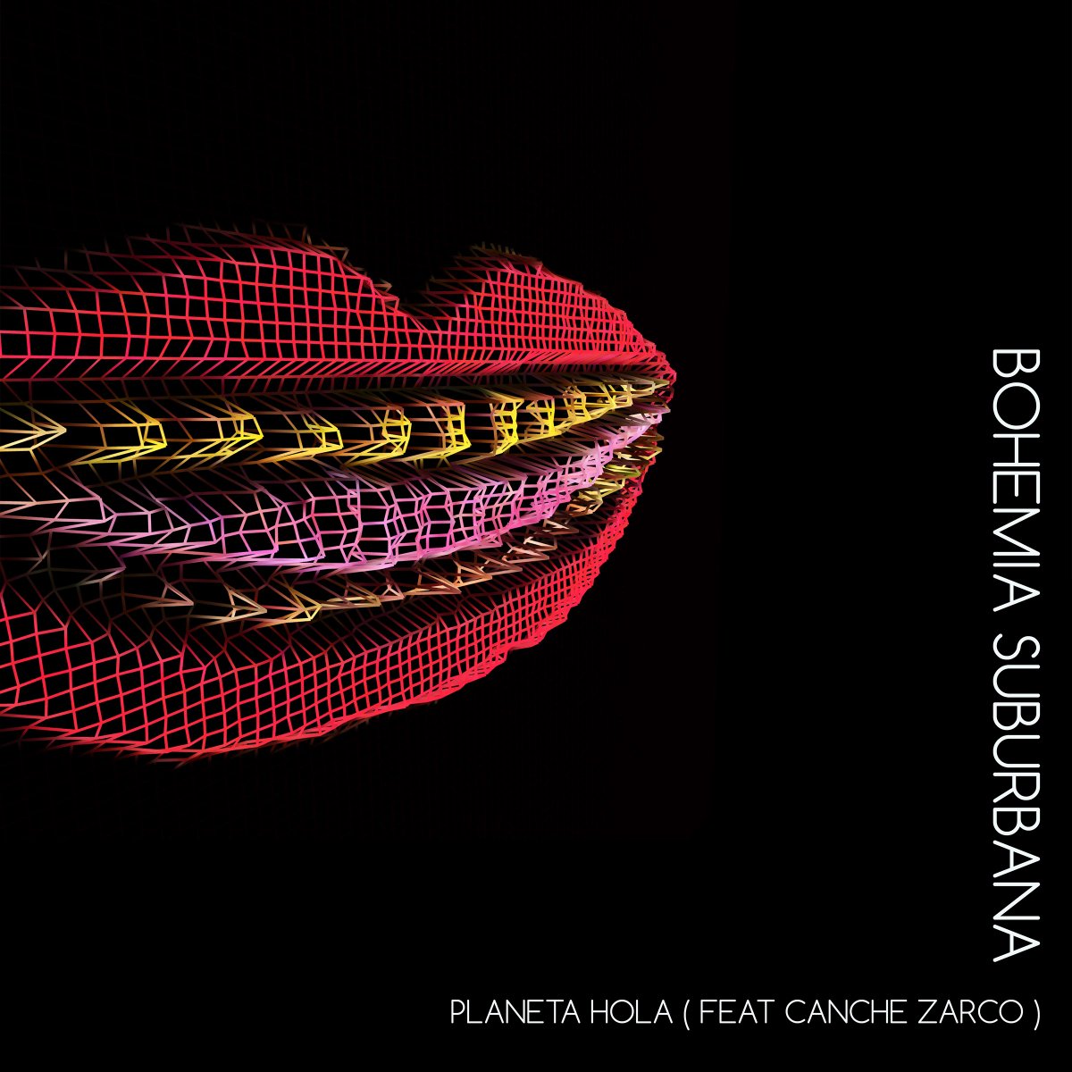 Rodri Sanchez Algara tweet media