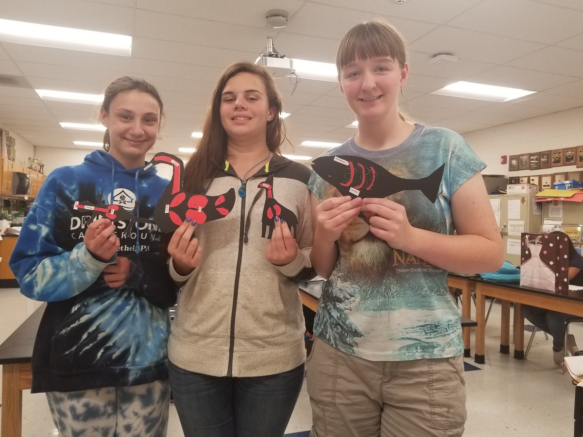 AmyKline1999's tweet photo. Animal Science students presented on animal body systems using the 3-D models they created!  #WHRHighSchool, #WarrenHillsFFA, #WHRHSPride, #WHRSD, #NJFFA, #FFA, #DoingToLearn https://t.co/rKexnDoQMB