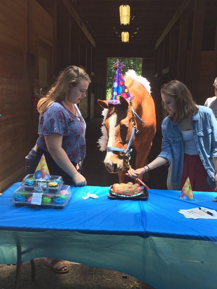 NCHS_CTE's tweet image. Sandy the Ag horse is retiring from the NCHS barn and going back to live with her family. Thanks for hanging with the NCHS students all these years Sandy! Ag will miss you!