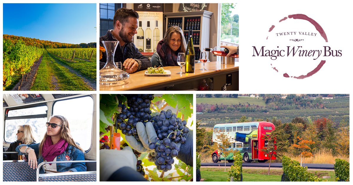Hop on, hop off double-decker bus tour of 4 amazing wineries? Yes please! Book your seat today: magicwinerybus.ca  #wine #twentyvalley #bustour