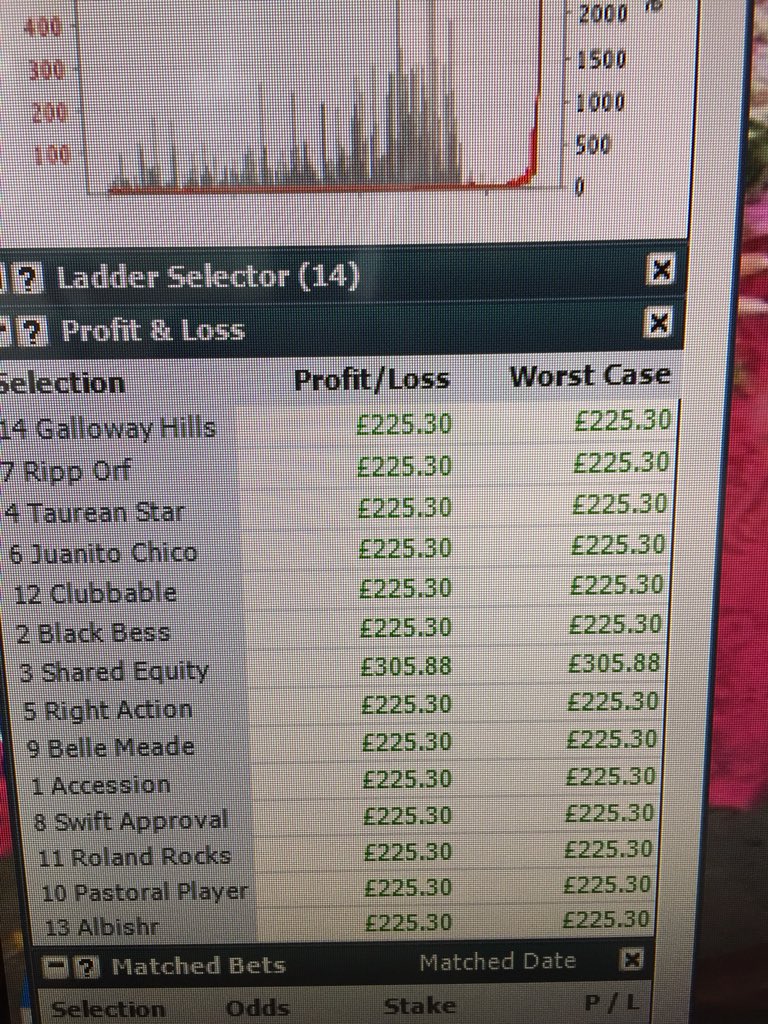 #frontrunner #backtolay #betfair #horseracing #geekstoy