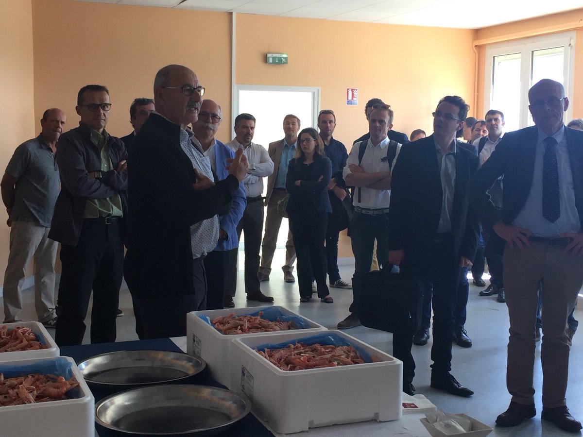 twitt_rachel's tweet photo. Joli moment auj avec l’accueil ce jour @tech_quimper_co du CA @PoleMerBA au #guilvinec. Merci #mairie #criee du guilvinec ! Plusieurs nouveaux projets labellisés dont VIPP #abyss ingrédients #capsularis, HEMDental @Hemarina, Solidsail #MerVent et bilan Pesk&Co #meralliance #yslab https://t.co/2wS7AtMauD