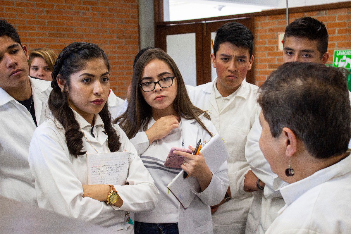 ConEsequiel's tweet photo. Para fomentar el interés en los jóvenes por el sector agropecuario, recorrimos los laboratorios del ICAMEX con estudiantes del cetis no. 28 de Zitácuaro Michoacán para mostrar la labor de investigación que realiza nuestro instituto.
IdeasFirmesInvestigadoresFuertes
#YoSoyIcamex https://t.co/zGARYR912E