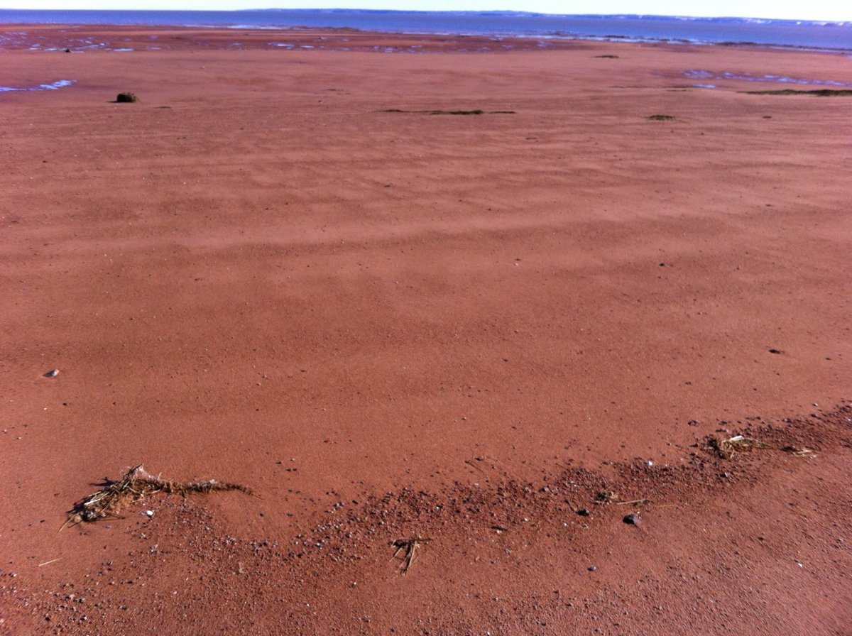 On sand-dominated tidal flats we see mostly primarily current lineation: evidence of fast ebbing currents (pic 1, loc 5). Ripples are almost always directed in an ebbing direction, frequently wave-flattened. Here is a rare example of flood-dominated current ripples W of loc 4