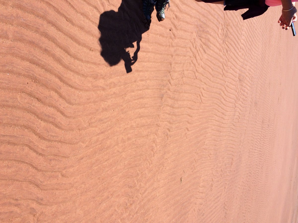 On sand-dominated tidal flats we see mostly primarily current lineation: evidence of fast ebbing currents (pic 1, loc 5). Ripples are almost always directed in an ebbing direction, frequently wave-flattened. Here is a rare example of flood-dominated current ripples W of loc 4