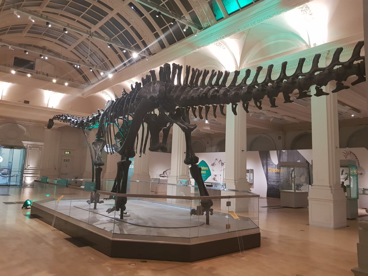 BhamMuseumsHire's tweet photo. We are in the final stages of putting together our 'Dine with Dippy' shared party night, what a fun creative afternoon in the events office ... we cannot wait till next week!! #dinewithdippy #DippyonTour π¦π¦π¦π΄π΄ππ https://t.co/GkDRiLLHdM