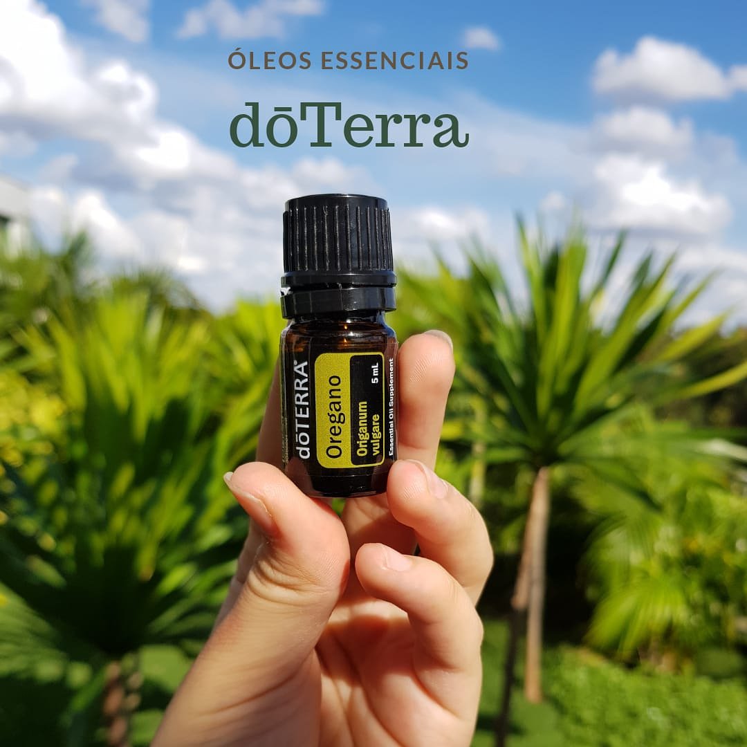 demegre's tweet photo. Um dos principais componentes químicos do orégano é o carvacrol, um fenol que possui propriedades antioxidantes quando ingerido. Auxilia na digestão saudável e na função respiratória quando tomado internamente e seu aroma age como um estimulador. #doterrabrasil https://t.co/Pi0keKlfam
