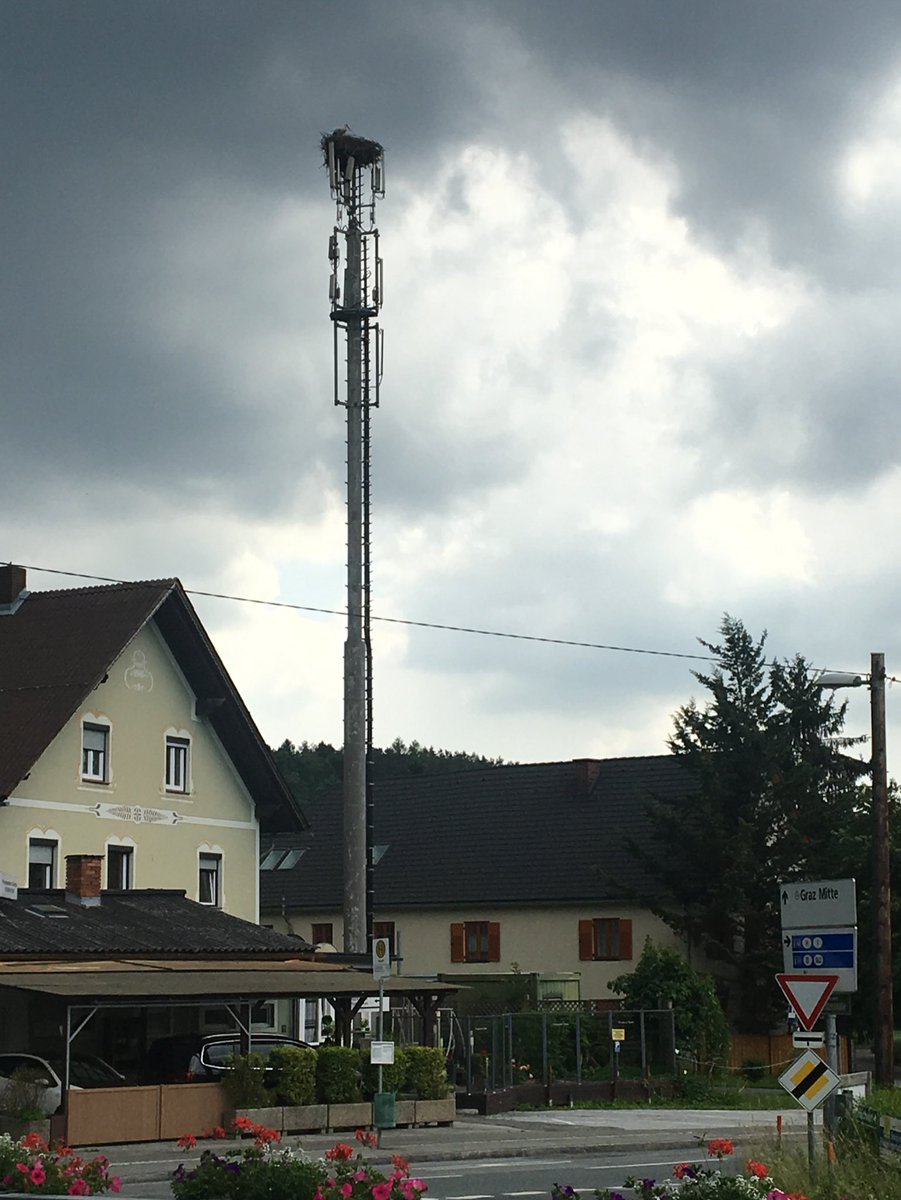 Gerhard Greiner tweet media