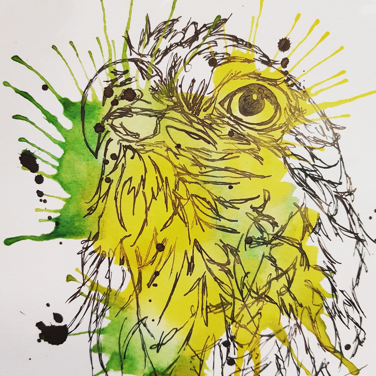 SarahC_Artist's tweet photo. #cumbria #LakeDistrict #NotJustLakes #osprey #birdart #birdsofprey #cumbrianartist #drawing #INK #artforsale https://t.co/FqDQ8ctq54