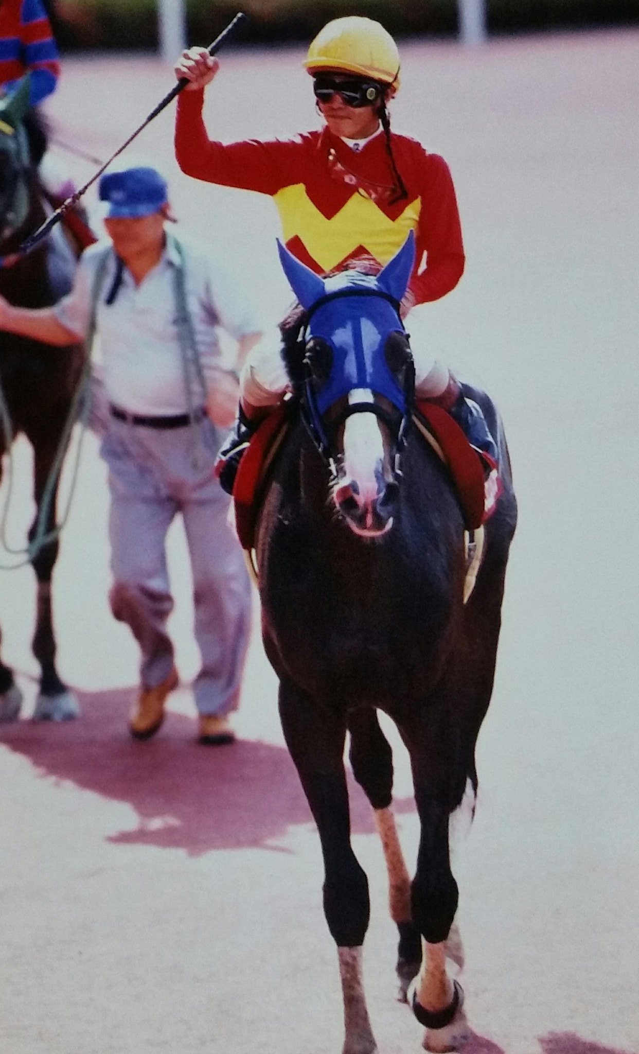 かずpart② 🐎😸 on X: 