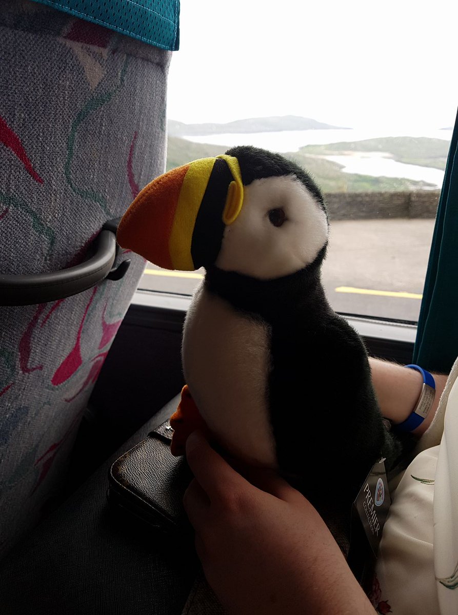 WikimediaIE's tweet photo. We have found our puffin mascot! Freshly recruited from near Skellig Michael and making her way back to Dublin to take up her new position as Ireland's representative on the @Wikimedia Cuteness Association! https://t.co/kXKL3dLO4Q