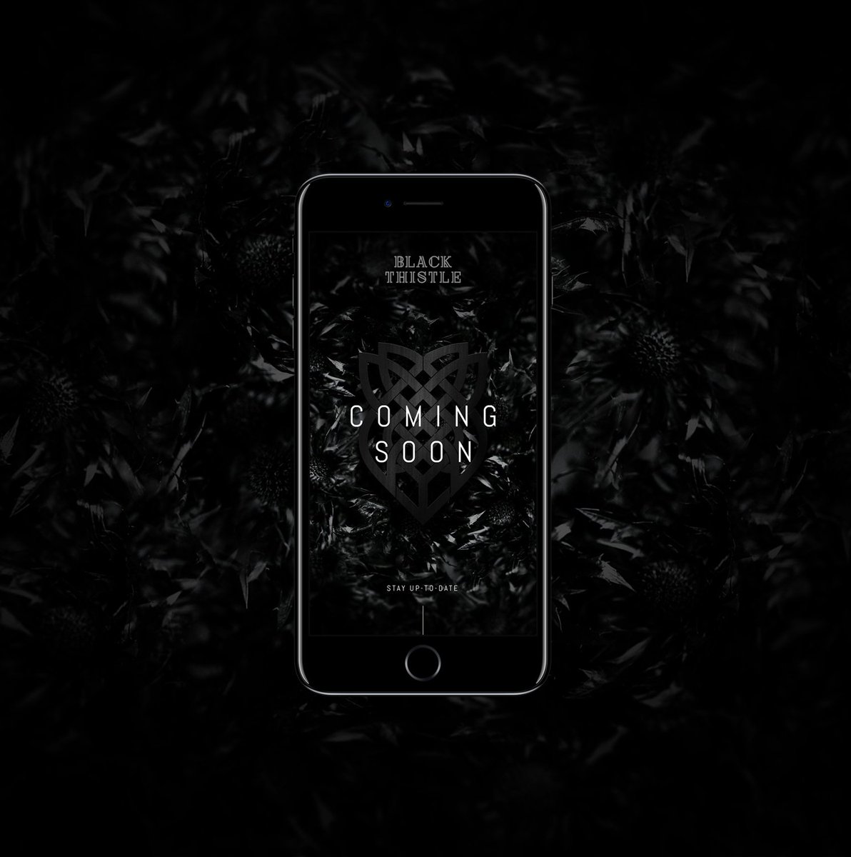 Our new holding page is now live, let us know what you think and subscribe to our newsletter to stay up-to-date with all things Black Thistle! Thanks so much to <a href="/Form_Digital/">Studio Form</a> blackthistledistilleries.com #Distillery #Scotland #Gin #StartUp #Angus