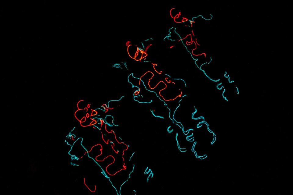 #squadgoals for this weekend 😎

#AcousticaElectronica #AEHouseofYes #DanceoftheKnights #hallucination #trippy #ledcostumes #ledlights #ledlightupsuits #immersivedancetheater #immersivetheater #brooklyndanceparty #brooklynnightlife #brooklyndance #brooklynmusic