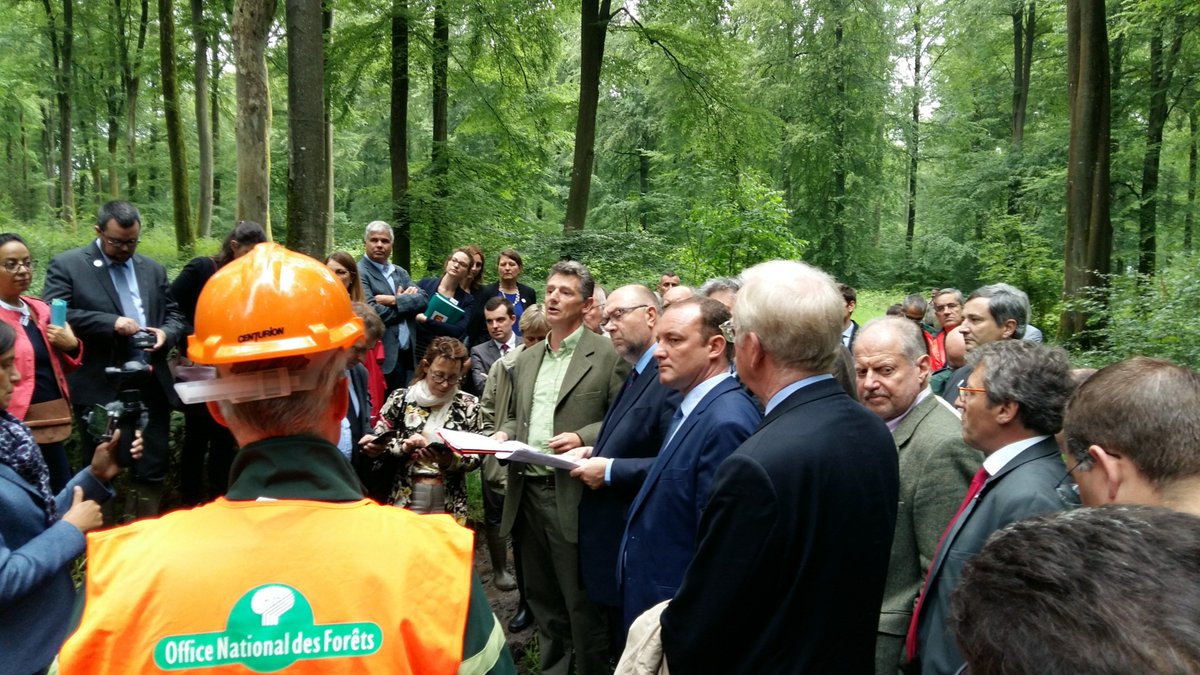 JeanM0403's tweet photo. Avec Stephane Travers dans les #hêtraies #normandes https://t.co/z9ujrP8n3F