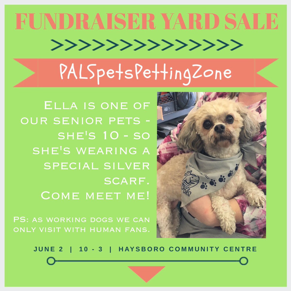PALSCalgary's tweet photo. Come meet Ella at our #fundraiser tomorrow @HaysboroCA!

Stay the day &amp; meet 30+ #therapydogs! And shop the #garagesale, snack @Streatside1 foodtruck &amp; @SugarCubeYYC cotton candy &amp; the bake sale!

Will u retweet plz! @DoggosOfYyc @SueHigginsDogs @RiverParkDogs @CalgaryDogParks https://t.co/zikIBDEDFJ