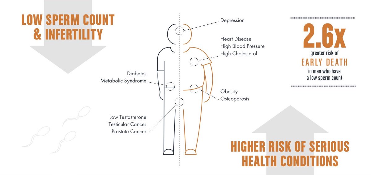 Trak Fertility tweet media