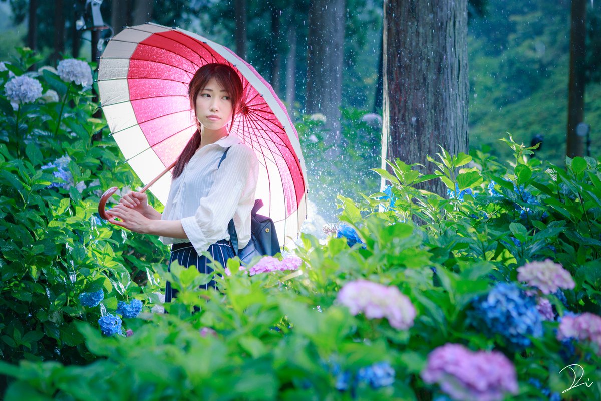 うさだぬ 極彩色の京都 写真集 カレンダー予約受付中 去年撮った 土砂降り紫陽花ポートレート 今年も雨で人物撮影したい うさだぬ 極彩色の京都 写真集 カレンダー予約受付中 去年撮った 土砂降り紫陽花ポートレート 今年も雨で人物撮影したい