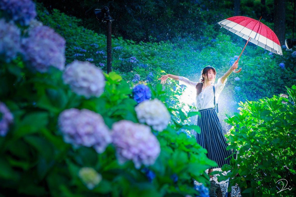 うさだぬ 極彩色の京都 写真集 カレンダー予約受付中 去年撮った 土砂降り紫陽花ポートレート 今年も雨で人物撮影したい うさだぬ 極彩色の京都 写真集 カレンダー予約受付中 去年撮った 土砂降り紫陽花ポートレート 今年も雨で人物撮影したい